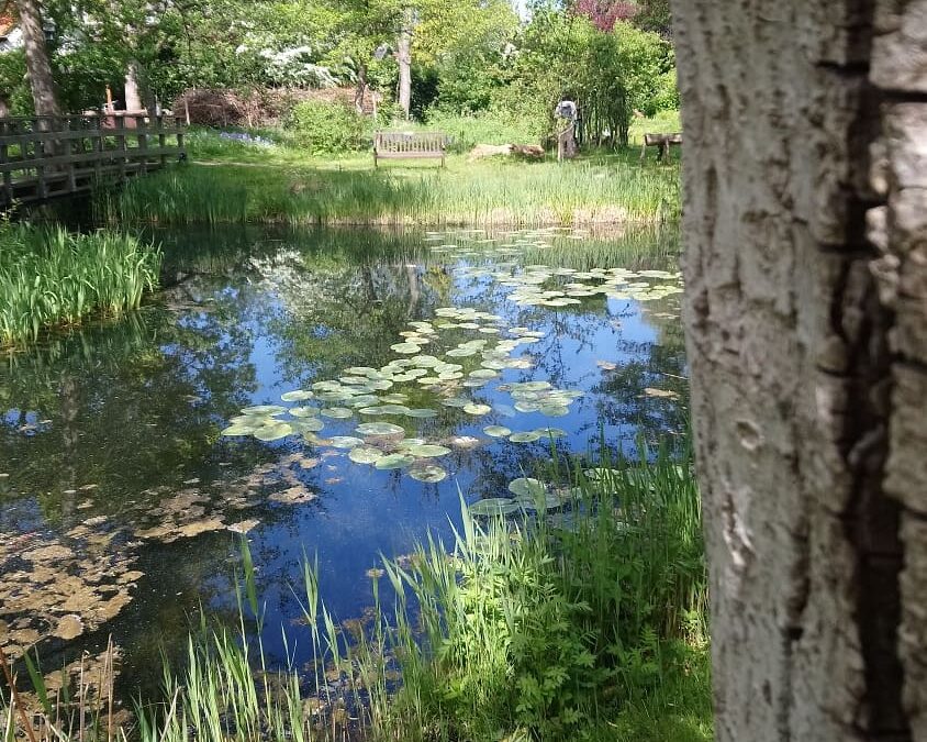 Tuin van Kapitein Rommel